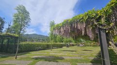 Espacio preparado para los jardines del Festival de Allariz