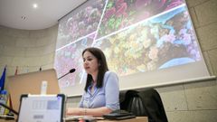 A neurocient�fica Sonia Villapol, nunha charla no Pazo de San Marcos da Diputaci�n de Lugo