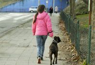 Propietaria paseando a su perro ayer en el entorno de la rotonda del Diapas�n. 