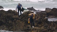 Imagen de archivo de bateeiros extrayendo la mejilla que cultivan en sus criaderos flotantes