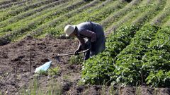 Visibilizar el trabajo de las mujeres rurales, fomentar el autoempleo y darle acceso a formaci�n son algunos de los objetivos del estatuto