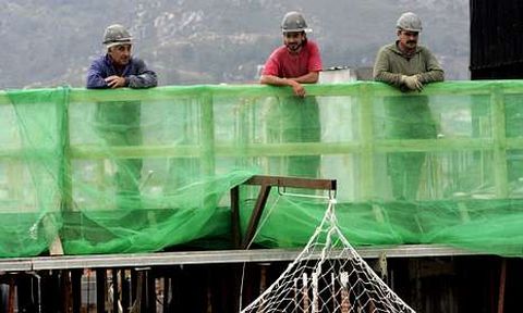 Muchas empresas del sector de la construcci�n se han declarado insolventes.