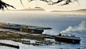 Tres buques estuvieron embarcando los veh�culos ayer en Bouzas.