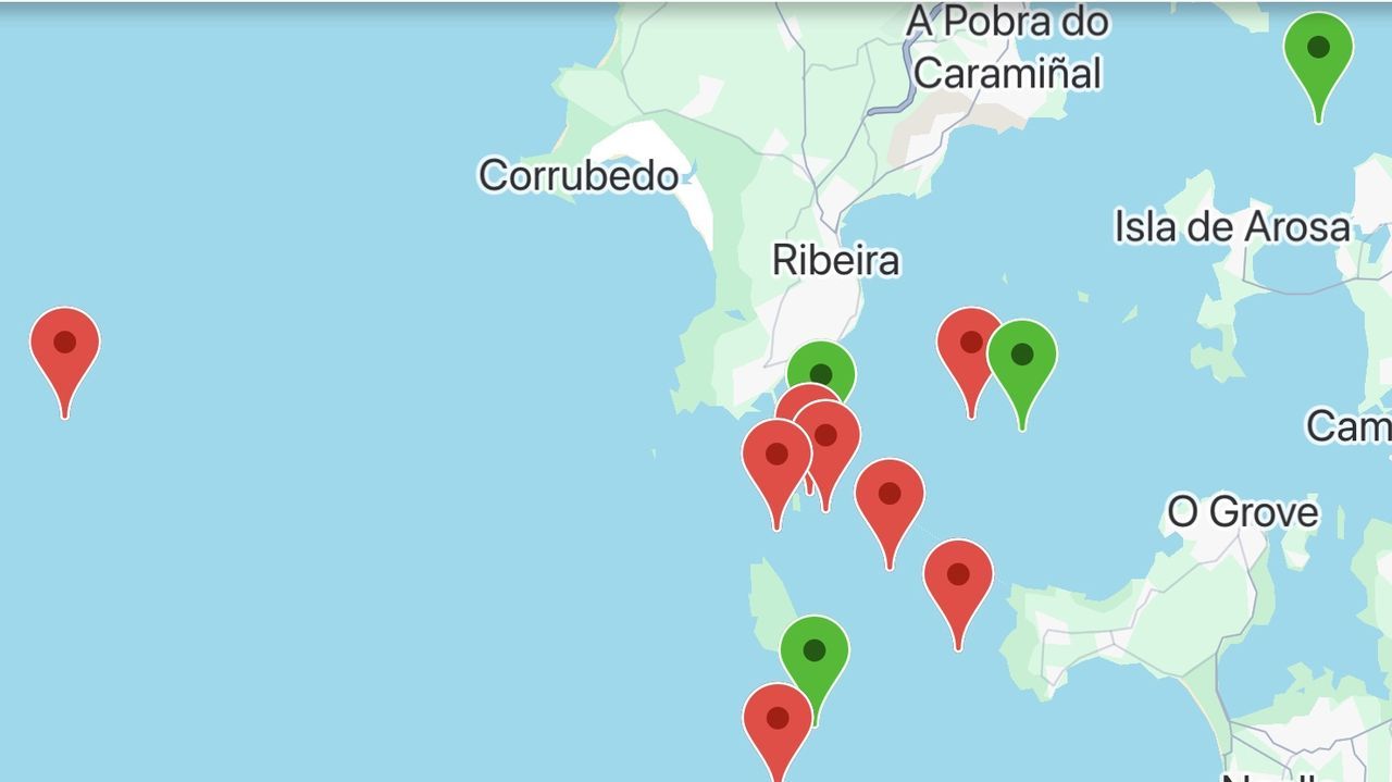 Cunde el temor porque las orcas golpearon a 15 veleros en tres semanas en Galicia