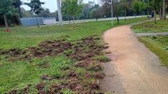 Los da�os terminaron por extenderse a la totalidad del parque del paseo fluvial