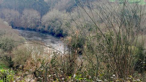 Río Ulla