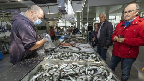  Subasta de sardina en el mercado de Carballo 