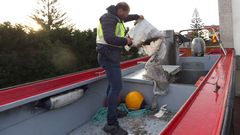 Polic�a Nacional examinando la embarcaci�n afectada en Agui�o