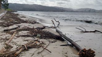 Aspecto de la playa de Cabeceira, junto al banco marisquero de O Ameixal, en Poio, durante estos temporales