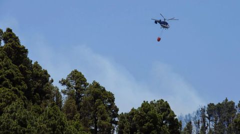 Incendio de La Palma