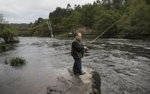 La temporada de pesca del salm�n se cerrar� el 31 de julio, si el cupo no se agota antes. 