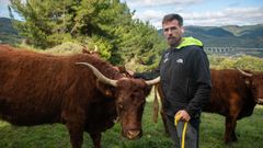 Rubén cuenta actualmente con 40 vacas salers que fue introduciendo desde que decidió coger las riendas