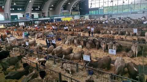 Certamen de Ganado de San Agust�n en 2022