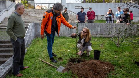 Plantaci�n de un acebo, este lunes, en el exterior de la Escola de Forestais del campus de Pontevedra