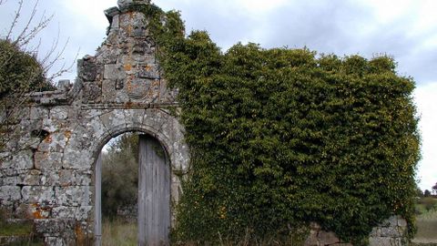 La vegetaci�n segu�a avanzando por la estructura en en el 2002, como indica la fotograf�a, tomada en esas fechas