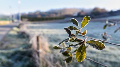 0 grados en Abegondo (A Coru�a)