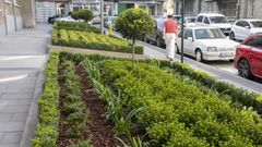 Las zonas verdes de la plaza del Comercio, en A Coru�a.