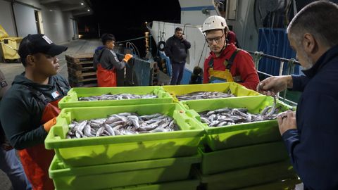 Descarga de lirio en el puerto de Ribeira
