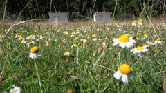 Fue cerca del antiguo campo de f�tbol