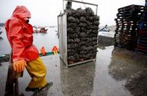 El sector del mar ser� el principal destinatario, aunque no el �nico, de la caja de cr�dito.