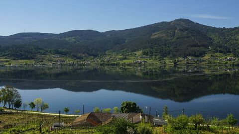 Embalse de Castrelo de Mi�o desde Ventosela, donde apareci� el cuerpo sin vida