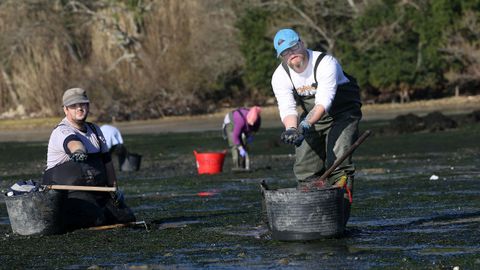 Mariscadores en la playa de Ma��ns de Boiro, en una de las �ltimas jornadas de trabajo antes de las fiestas navide�as