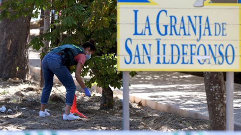 Una agente de la Guardia Civil revisa el lugar del crimen