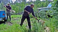 Cazadores del tecor O Fais�n echan alimento en los comederos de jabal�es en una foto de archivo