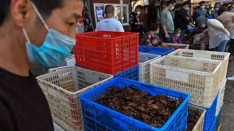 Imagen de un mercado h�medo en Wuhan