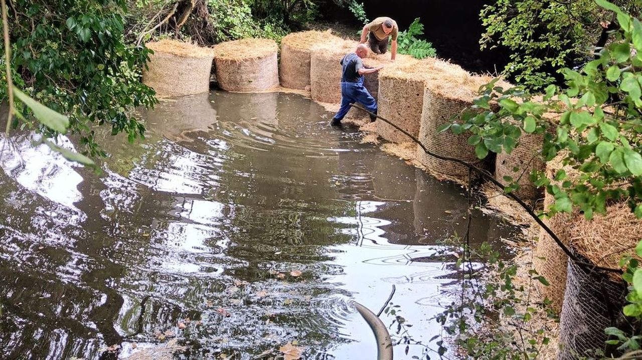El agua de Santiago, en riesgo