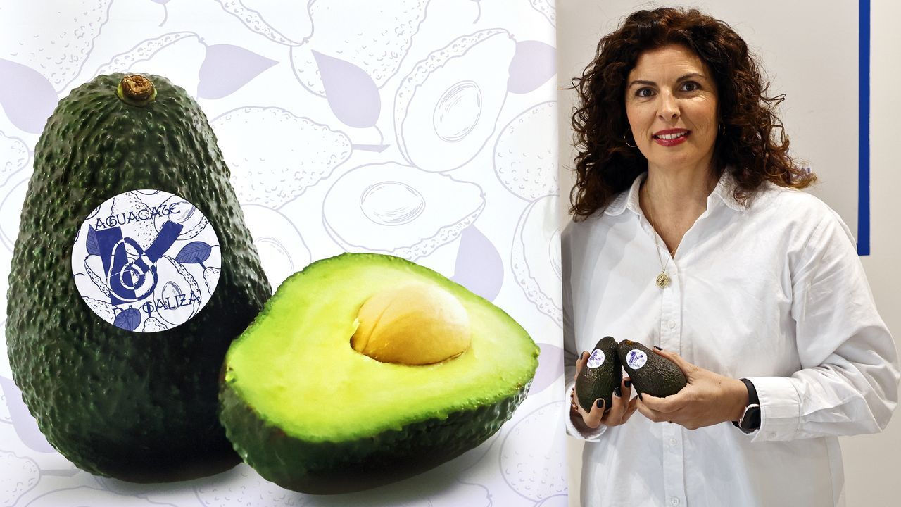 Vanesa Castro: «La huerta está en muy buen momento, el kilo de aguacate se paga a 4 euros»