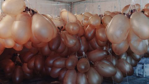 Elaboraci�n de vejigas para el entroido de Xinzo