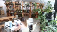 El interior de un edificio de Madrid que funciona como refugio clim�tico.
