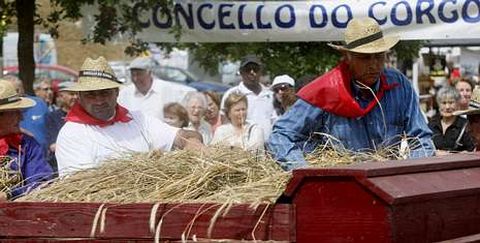 A malla � unha das actividades inclu�das no festival que se celebra na �rea recreativa do Corgo.