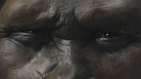 Fotograma dedicado al homo erectus en el montaje de Boswell