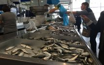 La sardina se vendi� ayer en Carballo a 5 euros el kilo, pero hubo poca. 