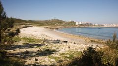Playa de Espi�eiro, en Mux�a, una de las accesibles para canes en el municipio