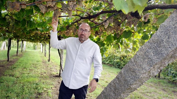 Miguel Tub�o sost�n que a agricultura rexenerativa pode ser interesante para o vi�edo galego