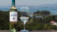 El albari�o de Condes de Albarei recibi� el Gran Baco de Oro Luis Hidalgo