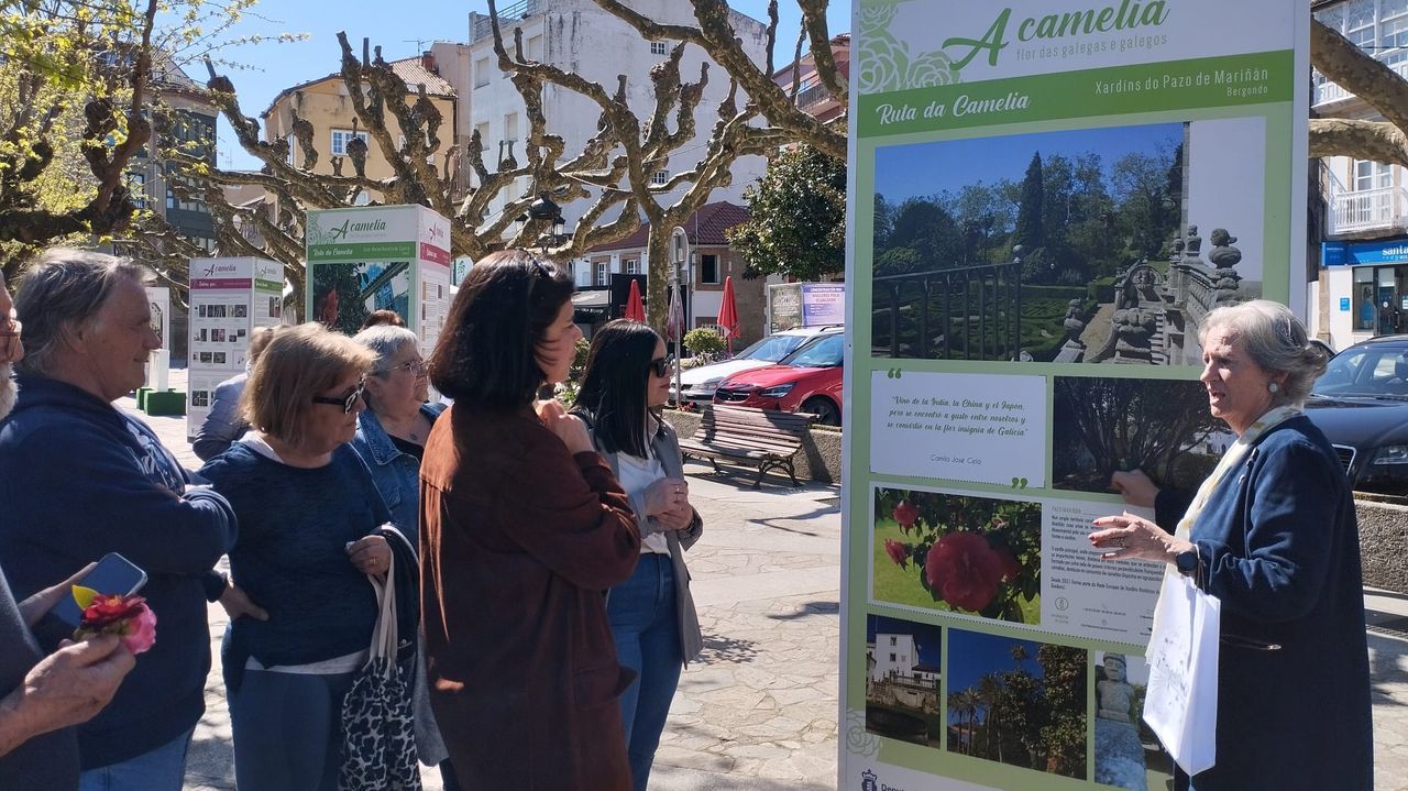 Los jardines Valle-Inclán de A Pobra acogen una muestra sobre la camelia en la provincia