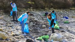 Otras entidades tambi�n realizaron recogidas de residuos en los arenales de la comarca este a�o