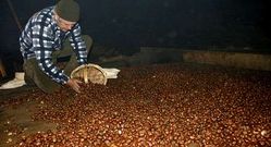 Interior de uno de los sequeiros de la aldea de Frox�n