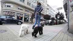 Una mujer paseando a sus perros, ayer, por una calle de Pontevedra