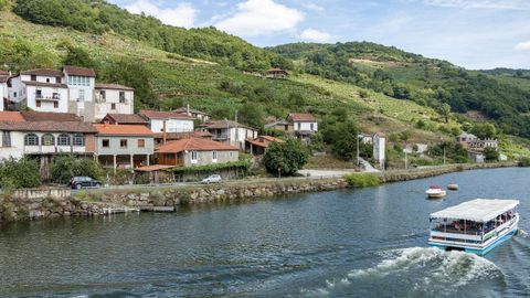 El camino sale de la localidad de Belesar, punto de partida de una ruta de catamarn