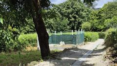 Tramo del sendero del r�o Arenteiro, en O Carballi�o.