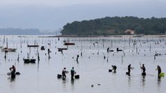 Carril es una de las zonas de producci�n marisquera m�s importantes de Galicia.