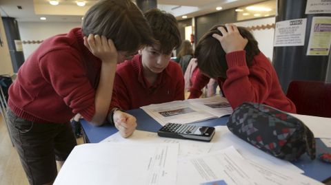 Actividades como el Rebumbio matem�tico, un campeonato de Matem�ticas para primaria, favorecen el inter�s de los alumnos por la materia