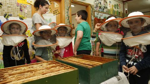 Ademais de colleitar o mel das colmeas, os rapaces probaron traxes de apicultor
