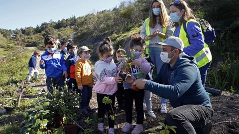 La comunidad de montes de Baro�a sigue ampliando su bosque comestible, �mira las fotos!