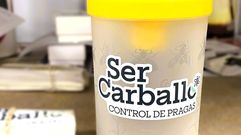 Nuevas trampas para luchar contra la velutina en Carballo 